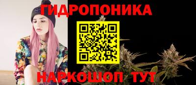 ECSTASY Гусь-Хрустальный